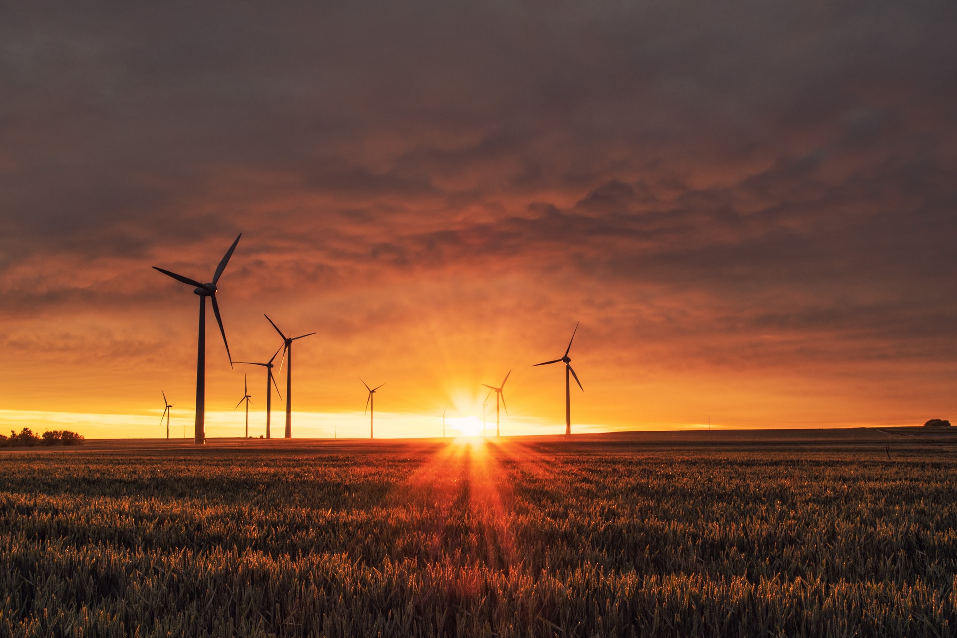 Cover Image for 100% Online MBA Energy and Sustainability